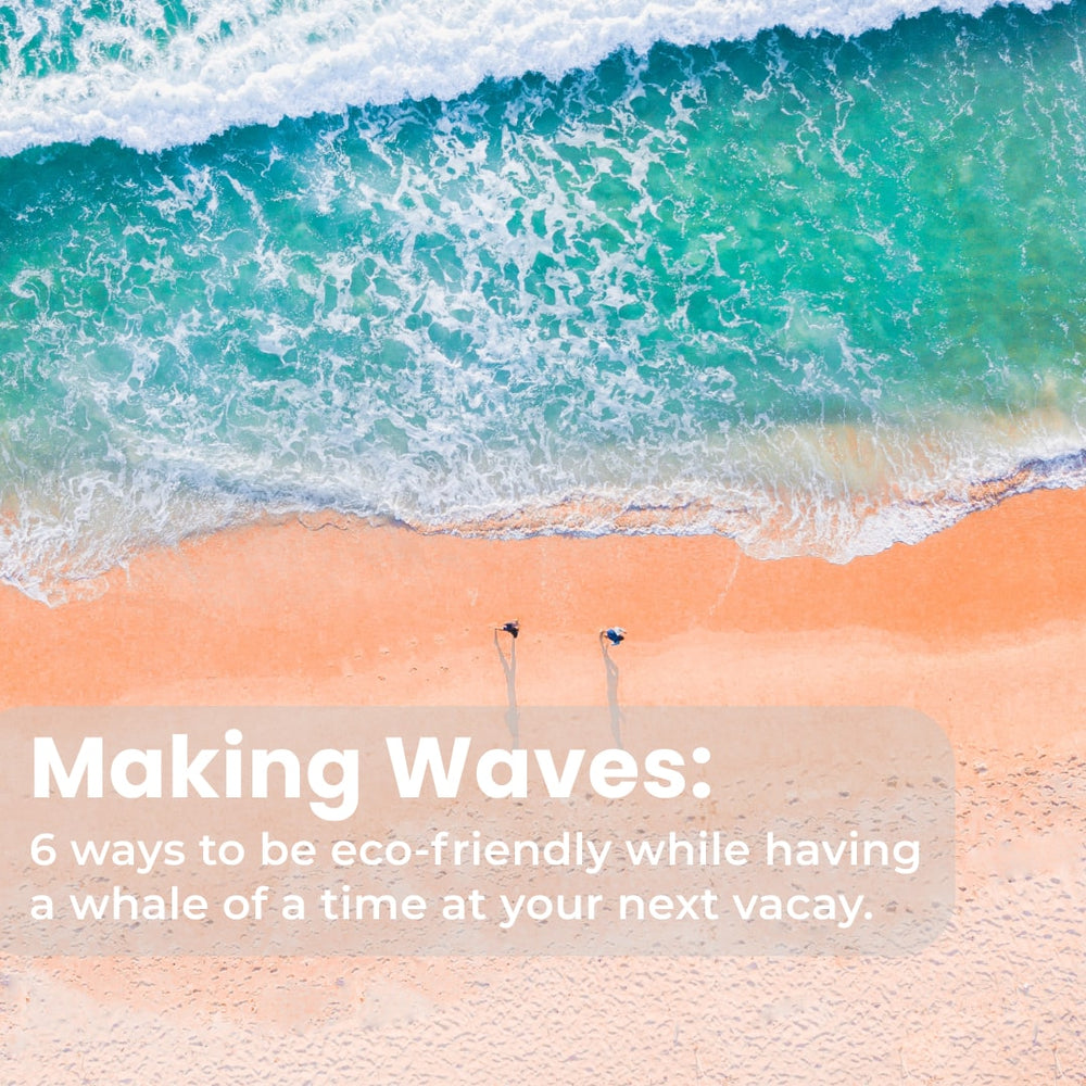 Making Waves: 6 Ways To Be Eco-Friendly While Having A Whale Of A Time At Your Next Vacation